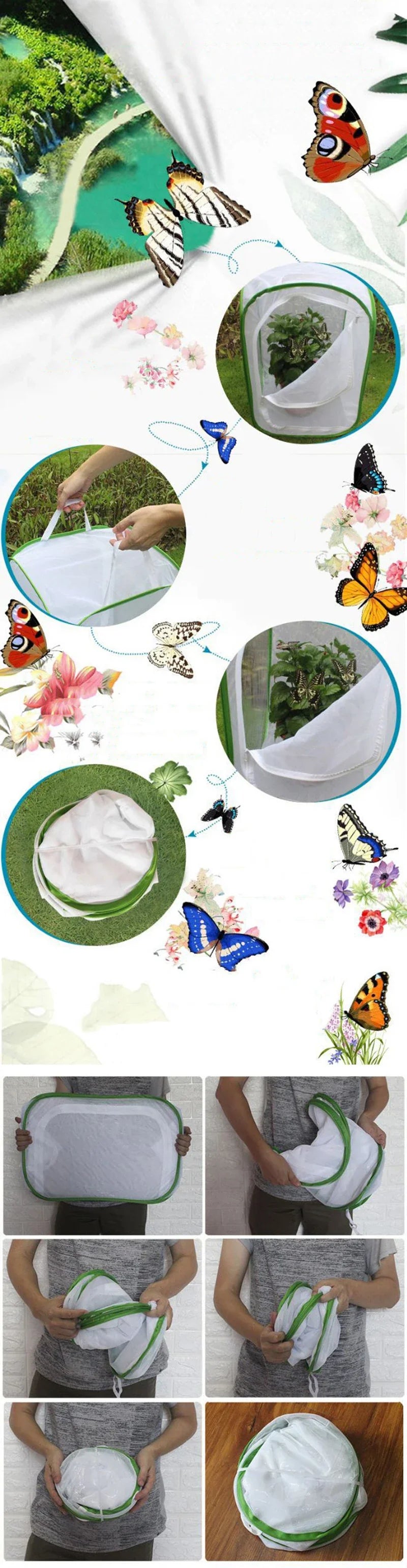 Carvallo Fällbart Insekthabitat | Zyning- & Observationsnät | Rostfritt stålram | För fjärilar, gräshoppor & silkesmaskar