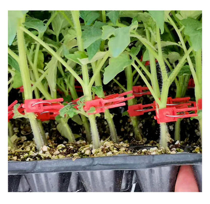 Plastmaterial Förädlingsklipp för trädgårdsväxter - Ideal för grönsaker och växtvård