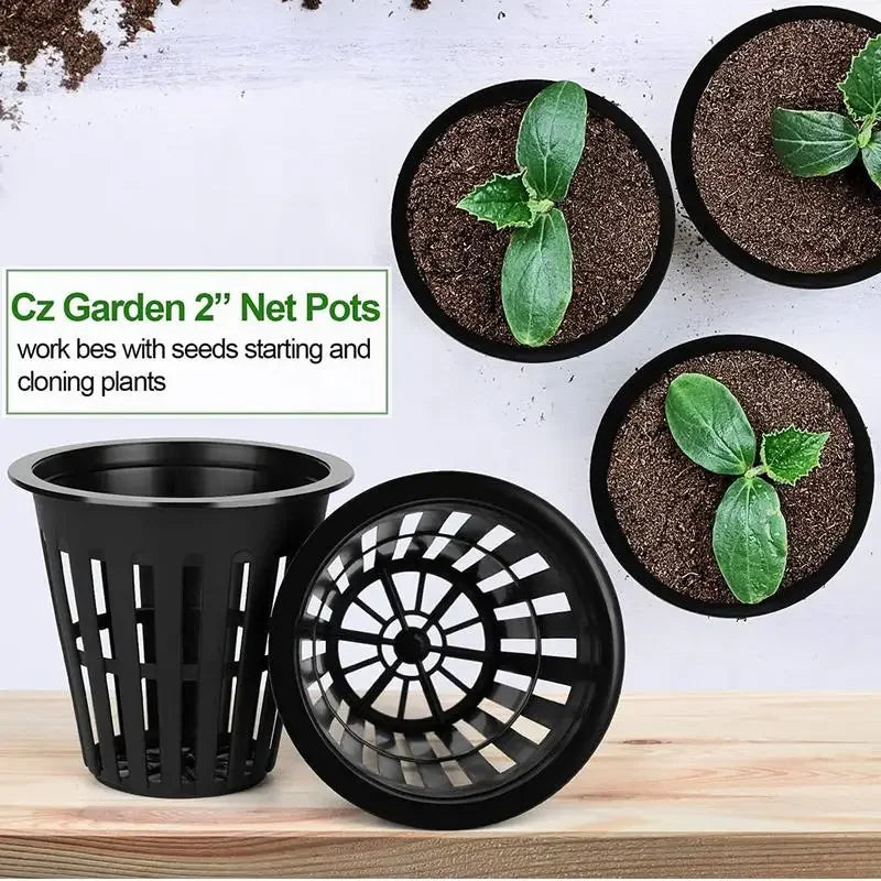 Carvallo Grow | 50-100 set nätkopp för hydrokultur & odling | 5,5 × 5,5 × 5 cm | Återanvändbar & UV-beständig