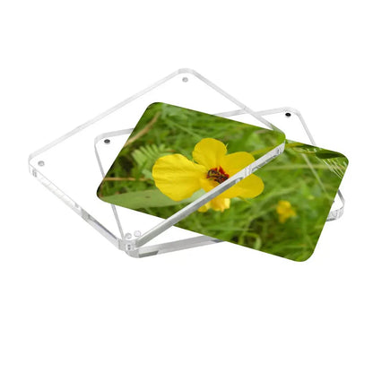 Magnetiska akryl fotoramar 5-pack