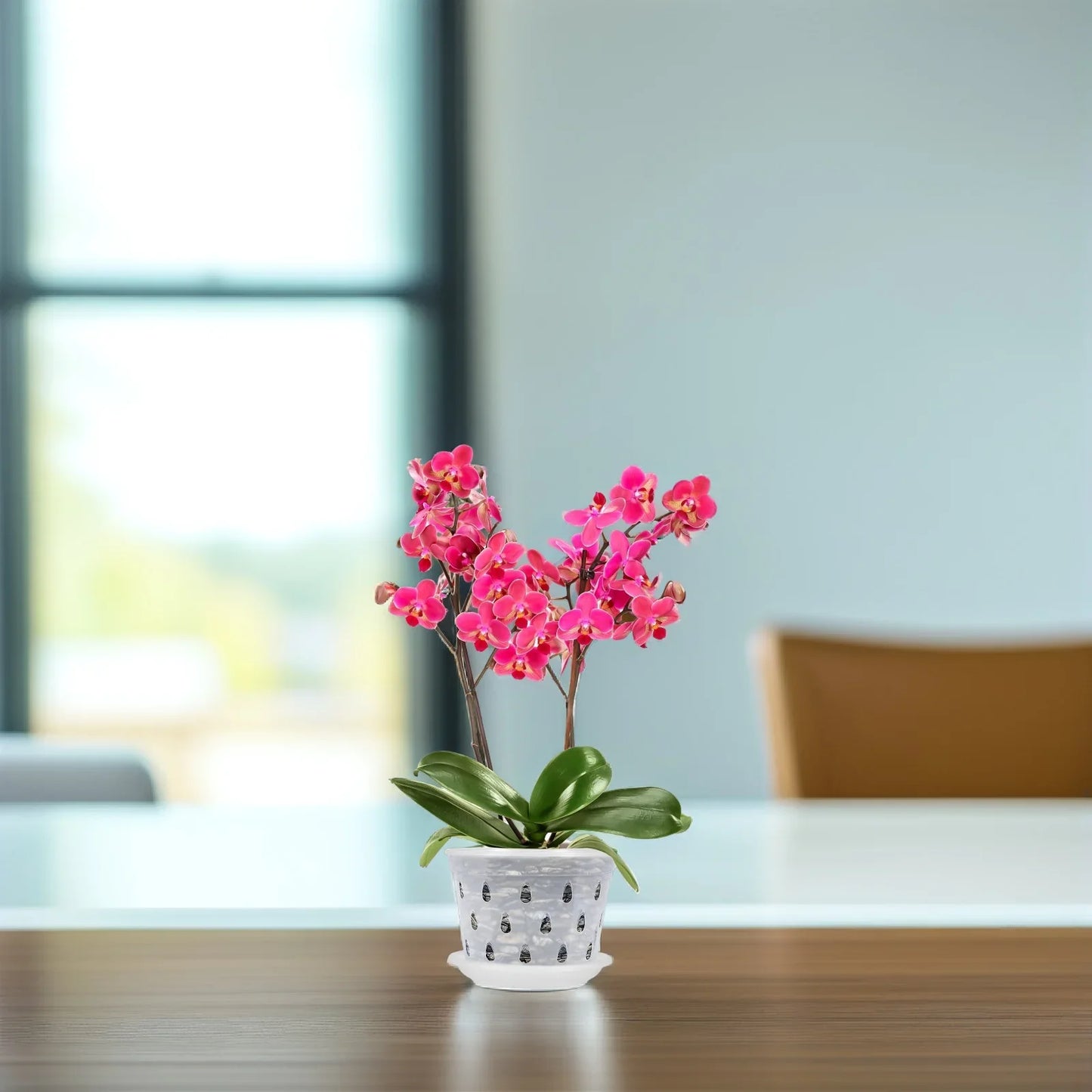 Carvallo Blomkrukor Klara | 5-pack | Med dräneringshål | Transparenta & Stabil – Florvista