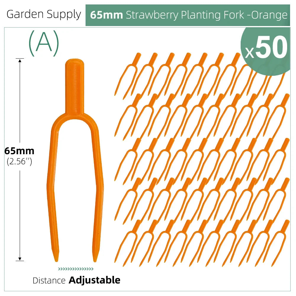 Carvallo | 50-piece set plant stem and vine fixers | 5.5 cm & 6.5 cm | Stable attachment for strawberries, watermelons & climbing plants
