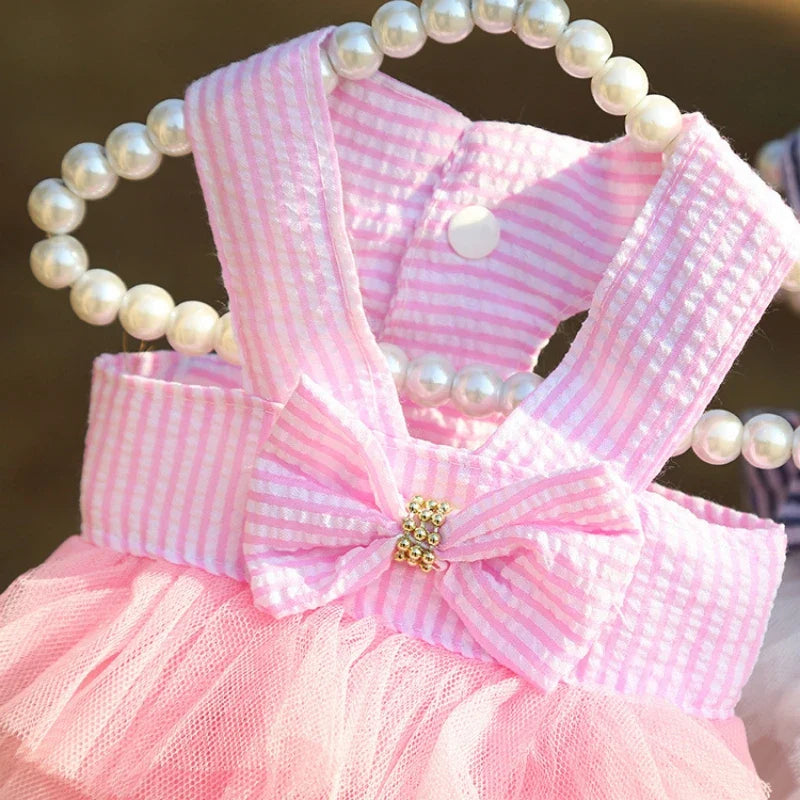 Carvallo | Sommarklänning för hundar & katter | Luftig prinsessdesign | Spetskjol för Chihuahua & valpar | XS–XXL