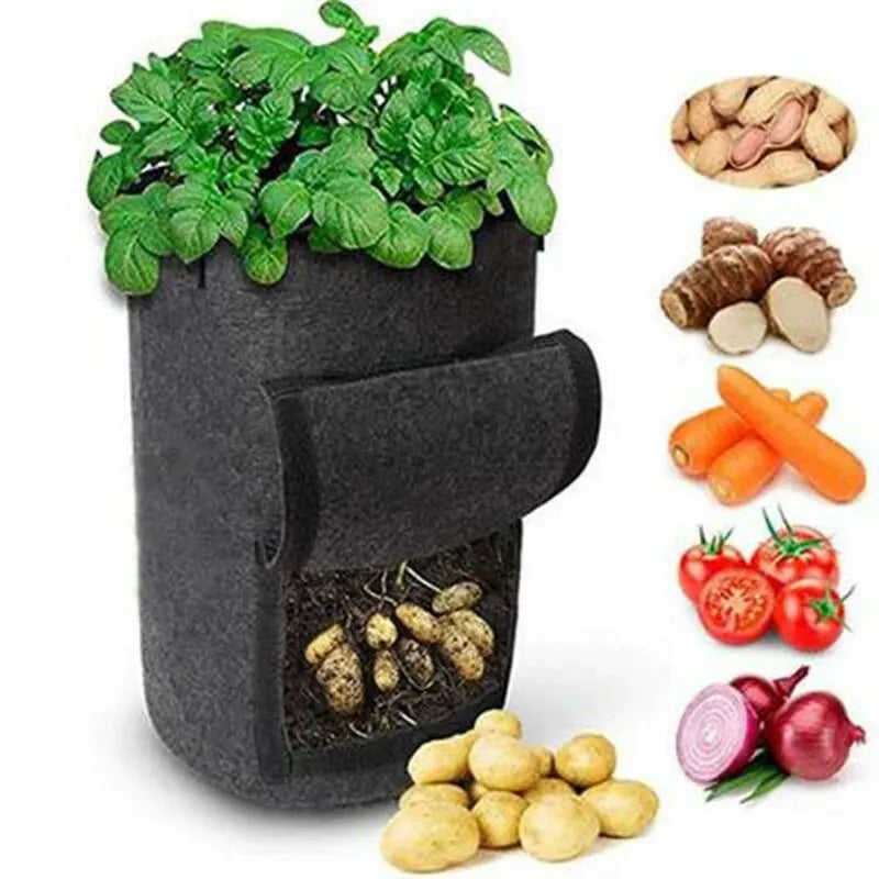Carvallo RootView Garden | Filtt planteringsväska med fönster | 5/7 gallon | För potatis, grönsaker & örter | Andningsbar & Återanvändbar