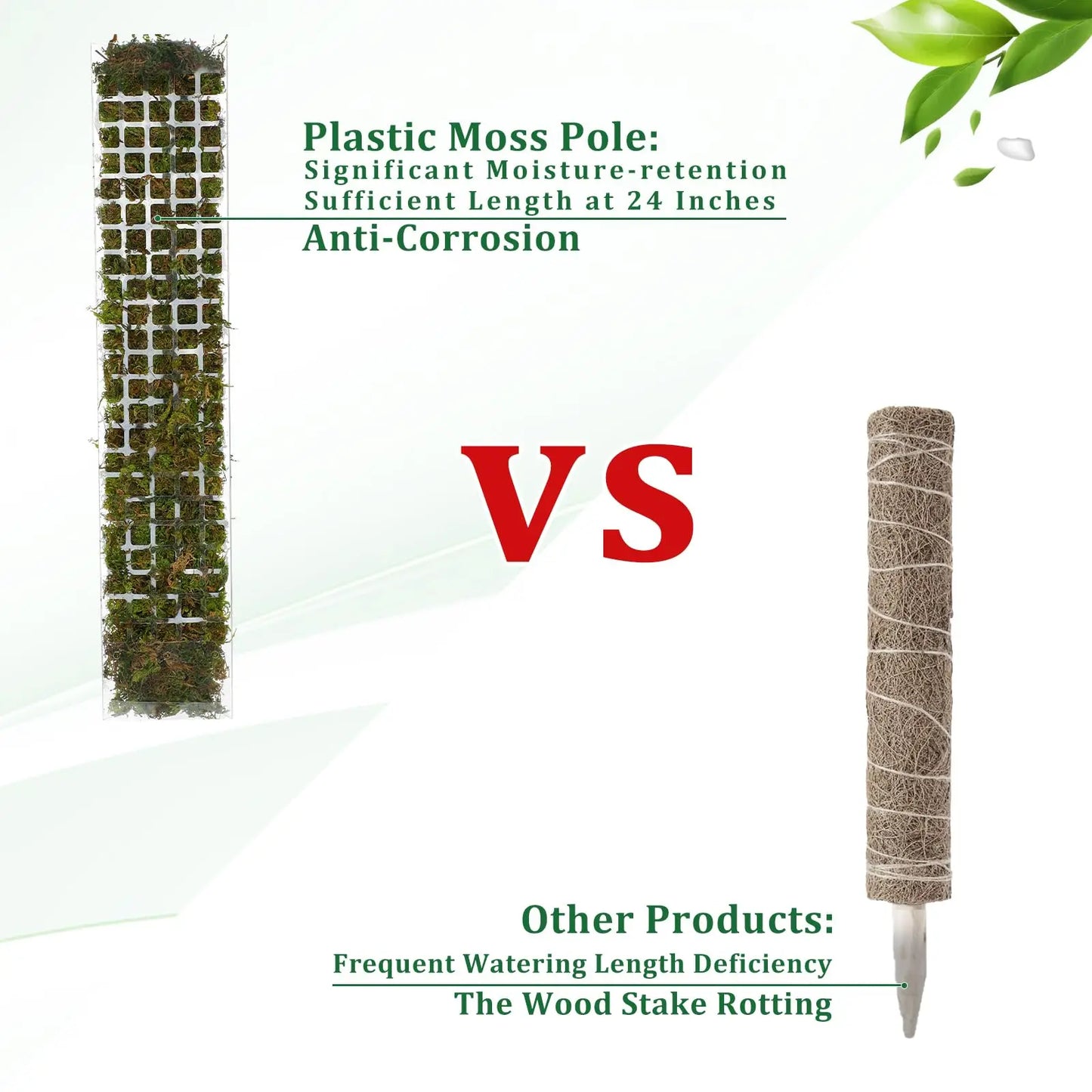 Carvallo Moosstav-Set för klätterväxter | Transparent PVC växtstöd | Inomhus & Utomhus