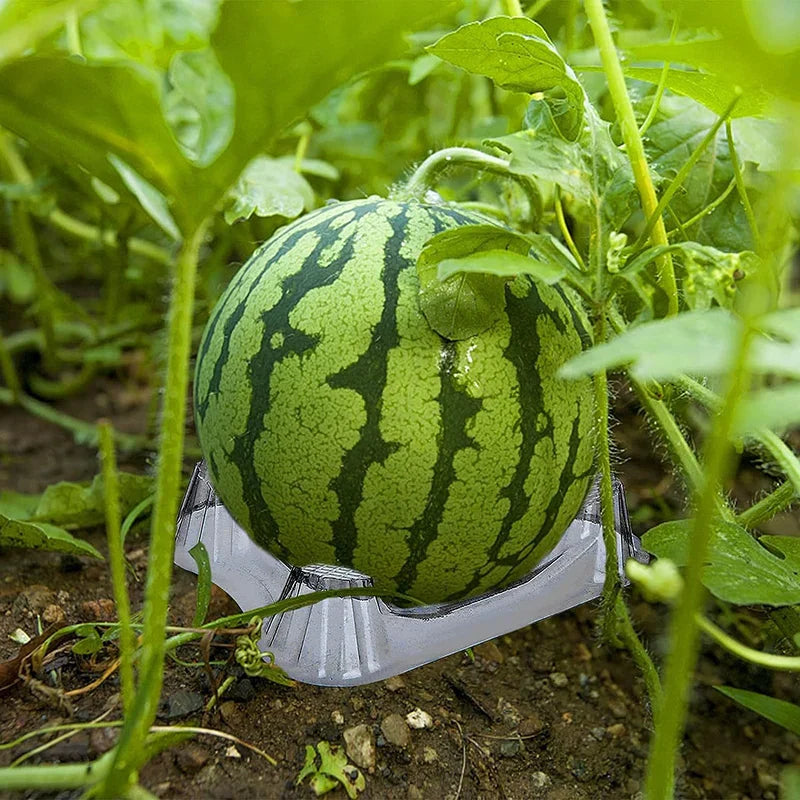 Carvallo Melonstöd Trädgård | 50-pack | Stabilt &amp; Återanvändbart | Transparent