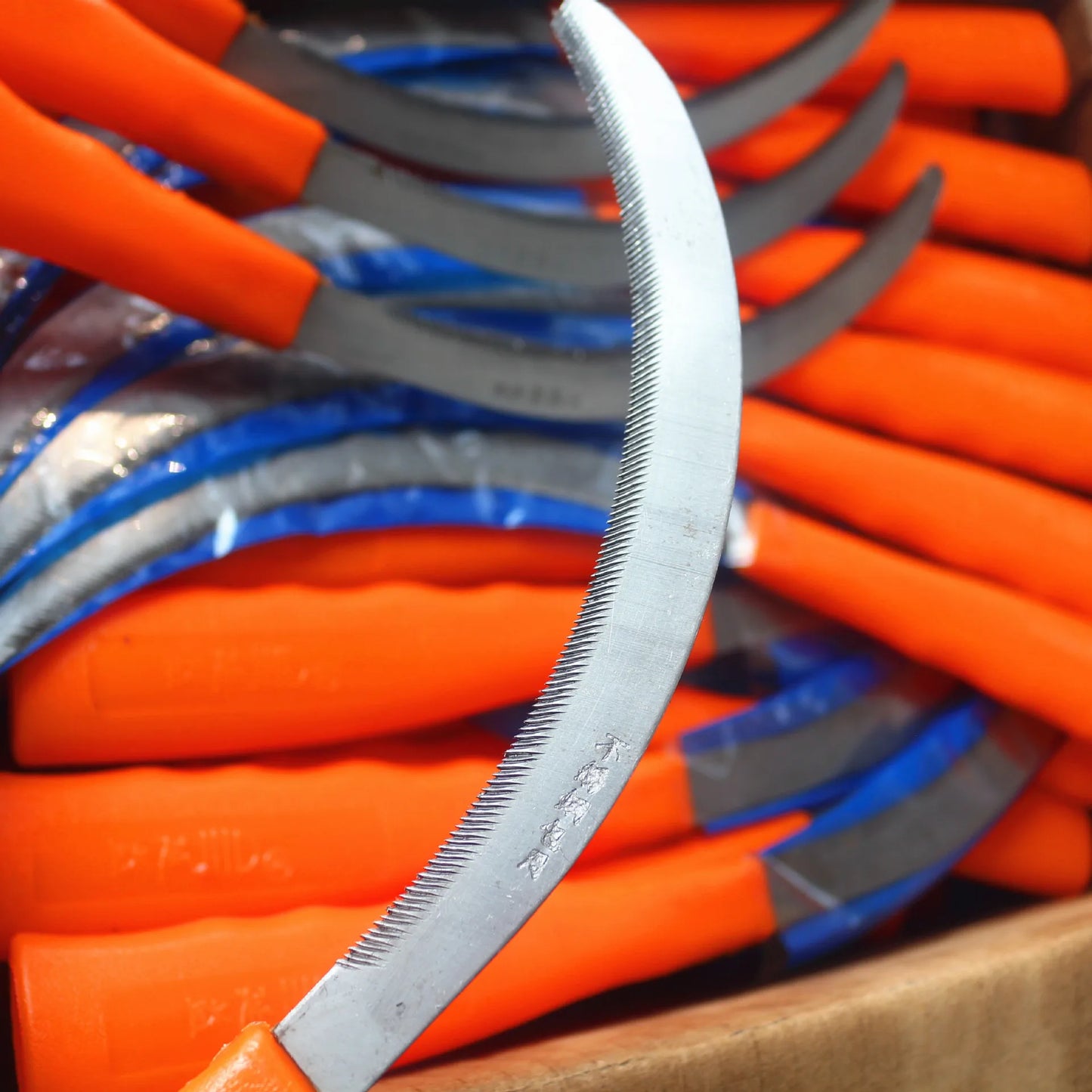 Carvallo ogräs skära i rostfritt stål | Tandad skärkant | För skörd & trädgårdsarbete | 30 cm