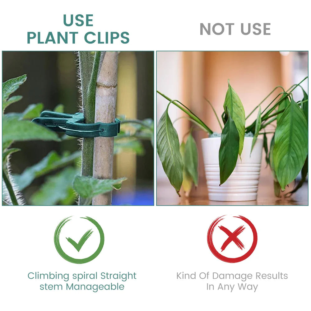 Carvallo växtklipp | Återanvändbara hållare | För tomater, grönsaker & klätterväxter | Stabil & väderbeständig