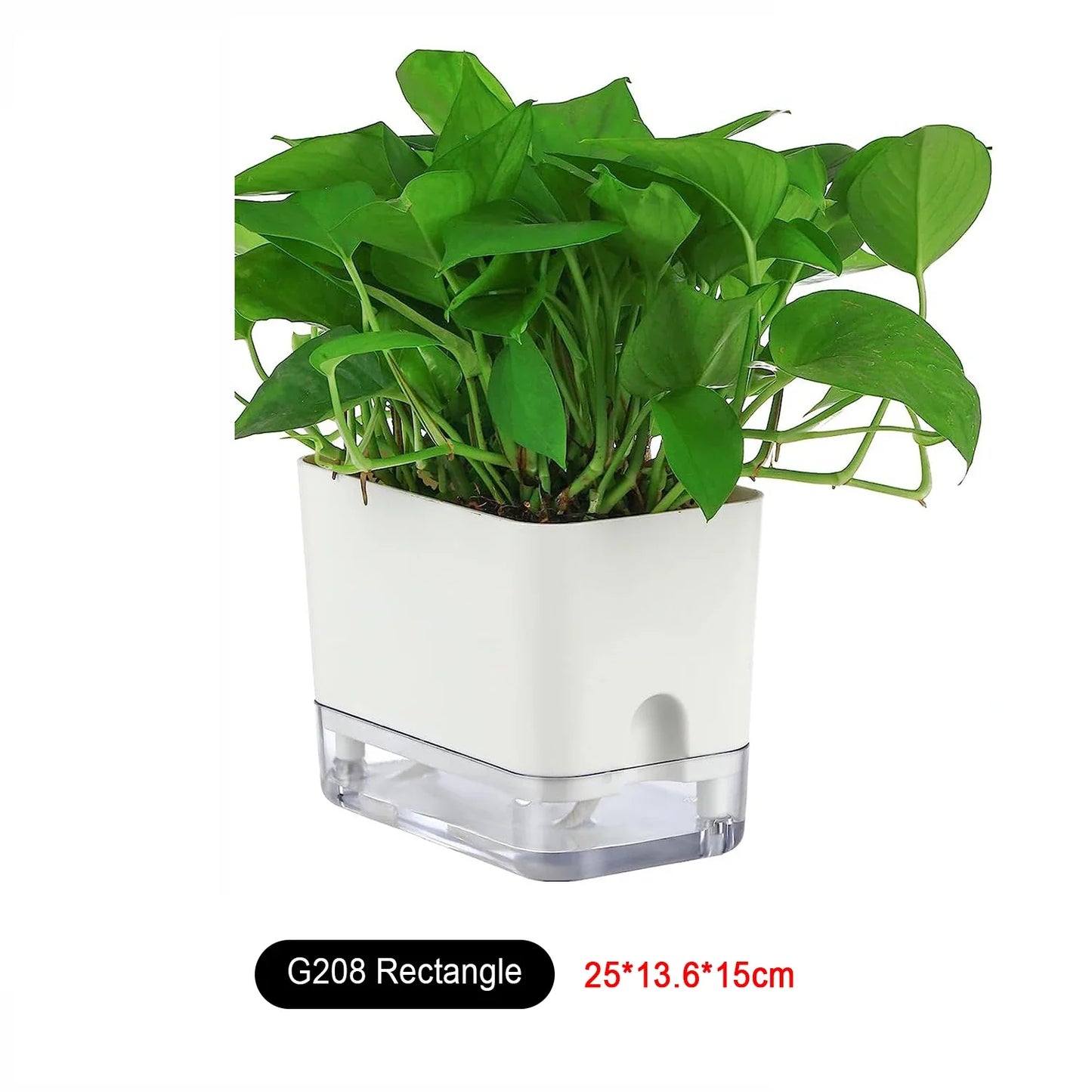 Carvallo BloomEase | Självbevattnande & Platsbesparande | Med vattennivåindikator | För krukväxter & örter