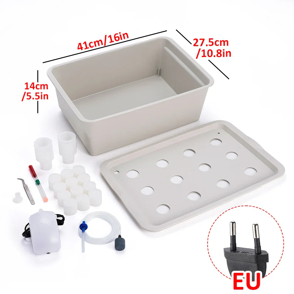 Carvallo Planter Set GrowPure 12 | 12-Chamber System with Pump | 220 V | For Herbs, Vegetables & Seedlings | 41×27,5×14 cm