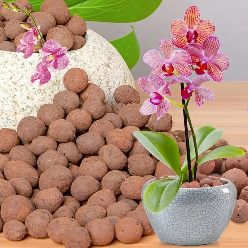 Carvallo Blähton Kulor | Organisk & Återanvändbar | För dränering & Hydroponik