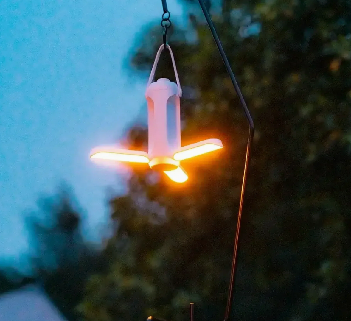 Carvallo – Ditt ljus, din kraft överallt!