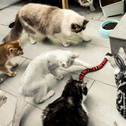 Carvallo - Intelligenta Sensorsängar