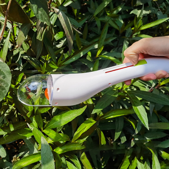 Carvallo – Den skonsamma insektshanteraren!