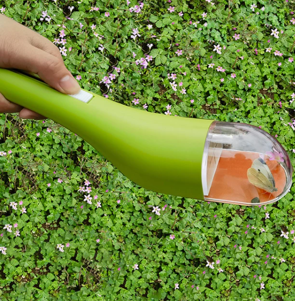 Carvallo – Den skonsamma insektshanteraren!