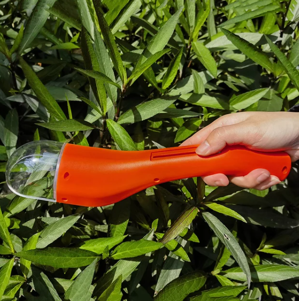 Carvallo – Den skonsamma insektshanteraren!