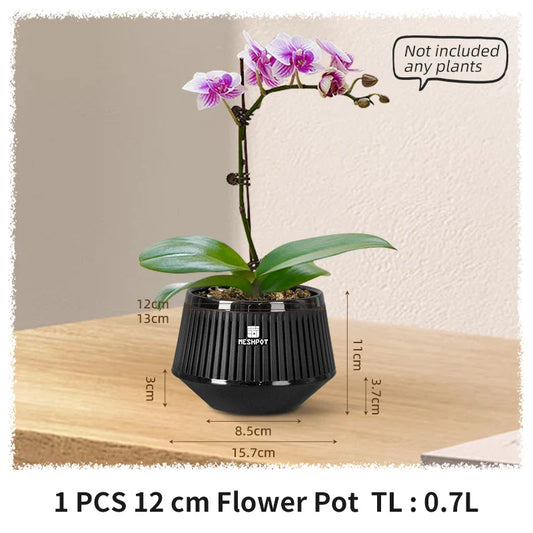 Carvallo Orchid Pot | Ventilerad planteringskruka med dräneringshål | 12 cm | Robust PP-material för inomhus och utomhus