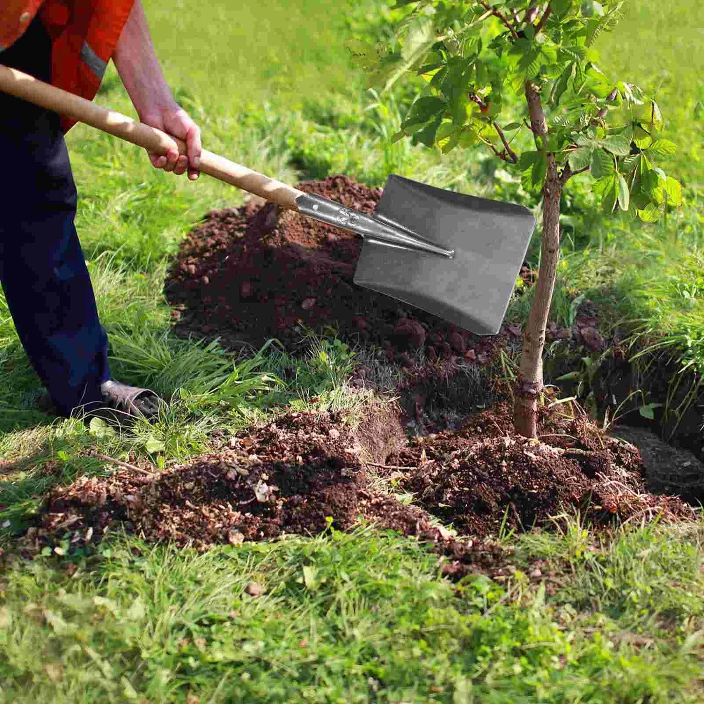 Carvallo Trädgårdsspade | Högkvalitativ handspade av kolstål | För hårda jordar, gräskanter & rotarbeten