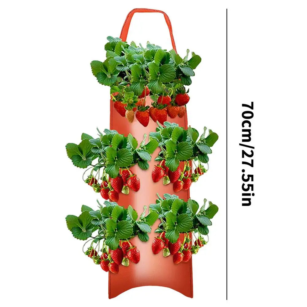 Carvallo Planter bag with 4/6/8/10 openings | Hanging & Breathable | For strawberries, tomatoes & herbs | Durable canvas fabric