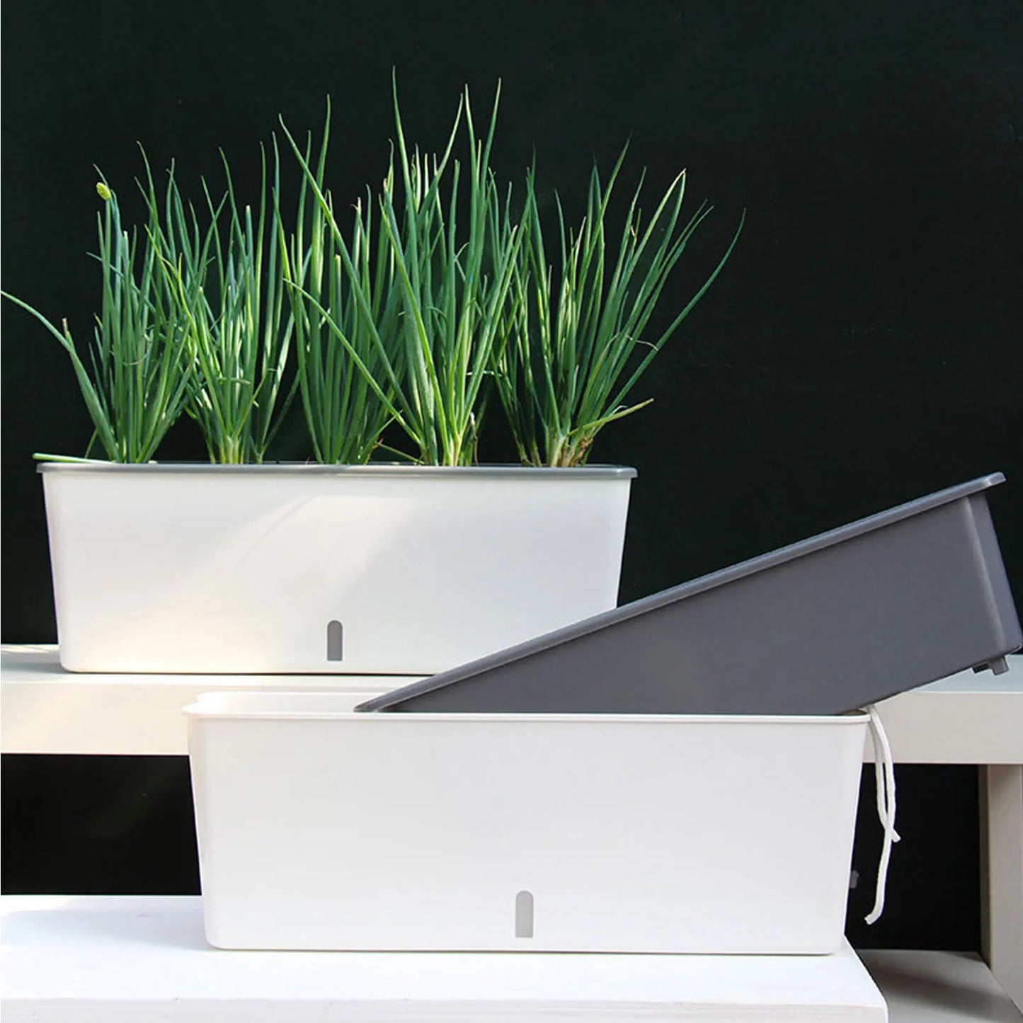 Carvallo planter med självbevattning | Inbyggd vattennivåindikator | Platsbesparande dualdesign | 43,5x12x11 cm