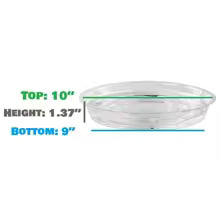 Carvallo växtunderlägg 10-pack Transparent | I 15 cm, 20 cm & 25 cm | BPA-fri & Mångsidig | För inomhusväxter & Hemmet