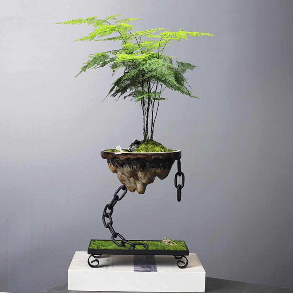 Planter Flytande Bonsai Hängande Display Skål