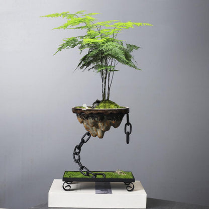 Planter Flytande Bonsai Hängande Display Skål