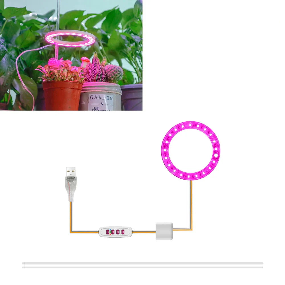 Carvallo Luminara Ring | LED-växtbelysning med timerfunktion | 1–4 huvuden | USB-driven &amp; 5-stegs dimbar