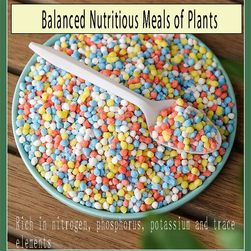 Carvallo Långtidsnäring för Krukväxter | Universalgödsel i Granulatform | NPK-formel med Kväve, Fosfor & Kalium