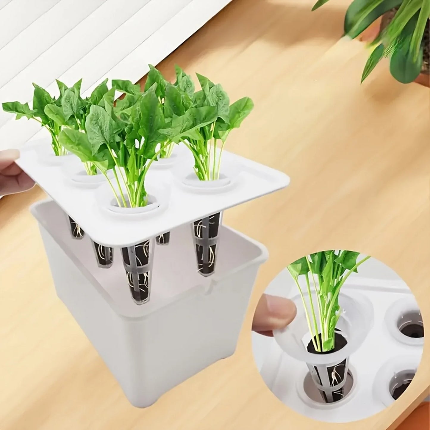 Carvallo Indoor-Grow-Set Hydroponiskt växtsystem för inomhusbruk | Självvattnande mini-växthus | 12×18×10,5 cm | För örter & sticklingar