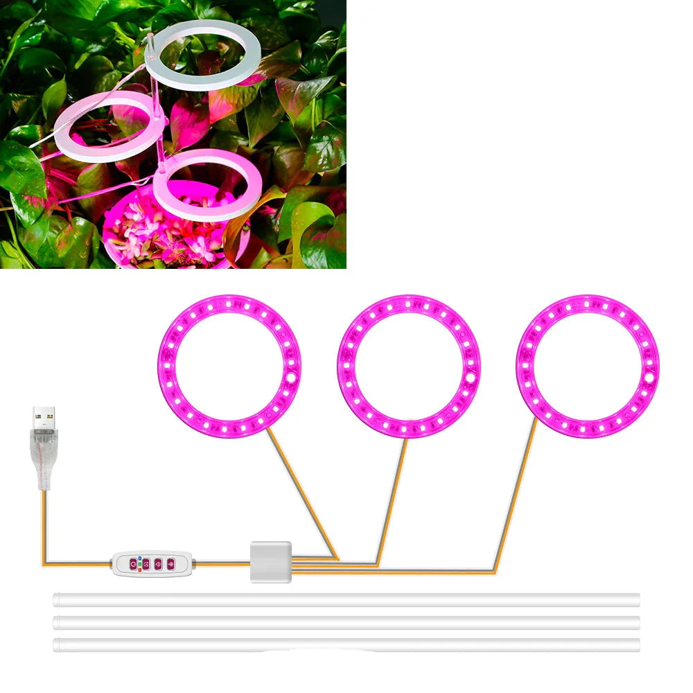 Carvallo Luminara Ring | LED-växtbelysning med timerfunktion | 1–4 huvuden | USB-driven &amp; 5-stegs dimbar