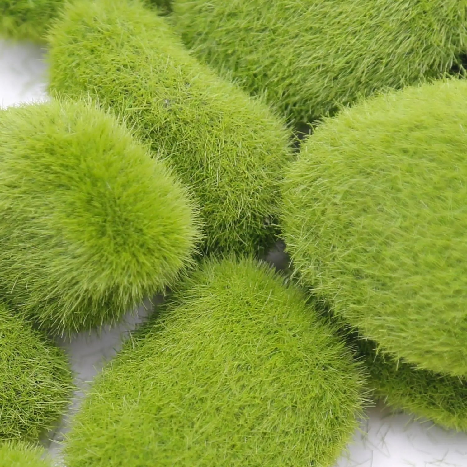 Carvallo MossArt Deko-mossstenar 10-pack | Realistiska mossbollar | För blomkrukor, DIY, featrädgårdar &amp; inredningsidéer | Lätta &amp; Mångsidiga