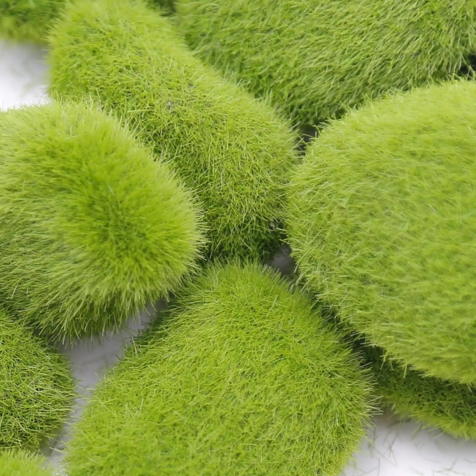 Carvallo MossArt Deko-mossstenar 10-pack | Realistiska mossbollar | För blomkrukor, DIY, featrädgårdar &amp; inredningsidéer | Lätta &amp; Mångsidiga