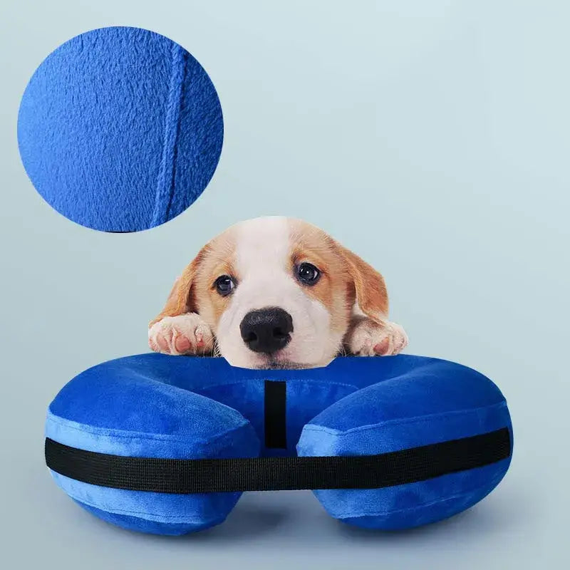 Royallure Uppblåsbar Hundåterhämtningskrage – Mjuk Donutdesign, Bekväm &amp; Flextible