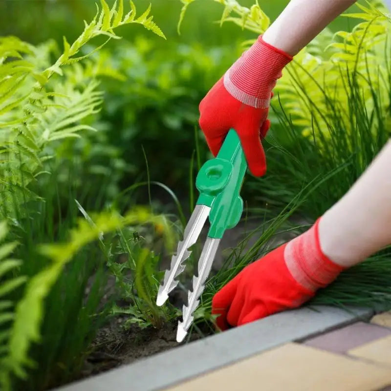 Carvallo Trädgårdspincett i rostfritt stål | Precision verktyg med klospets | Rutschfritt & Rostfritt | 18,8 cm längd
