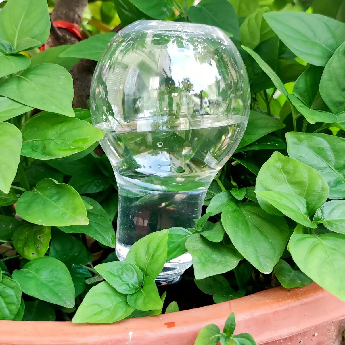 Carvallo AquaSpike | Automatisk växtvattnare | 320 ml | För rum- & balkongväxter