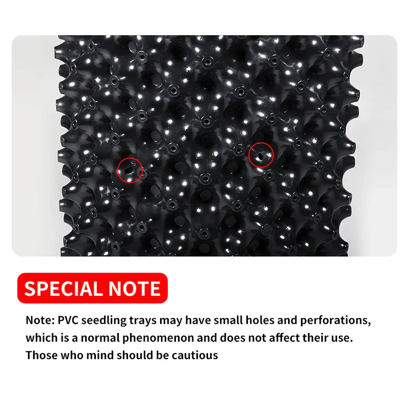 Carvallo Pro | Rotkontroll- & Uppdragskruka | För Bonsai, Träd & Buskar | Snabb rotväxt | PVC-skål