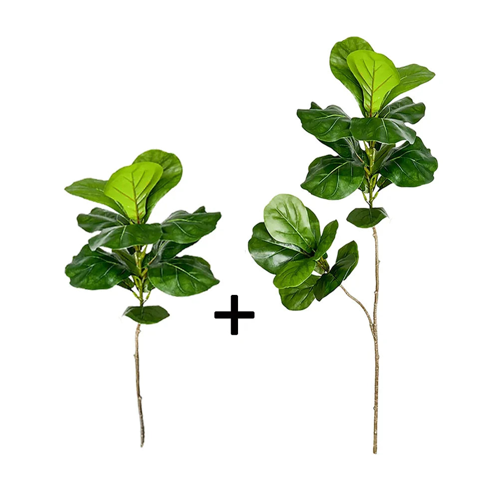 Carvallo Evergrünia | Gummiträd Ficus | 70–135 cm Höjd | Naturtroget utseende för inomhus & utomhus