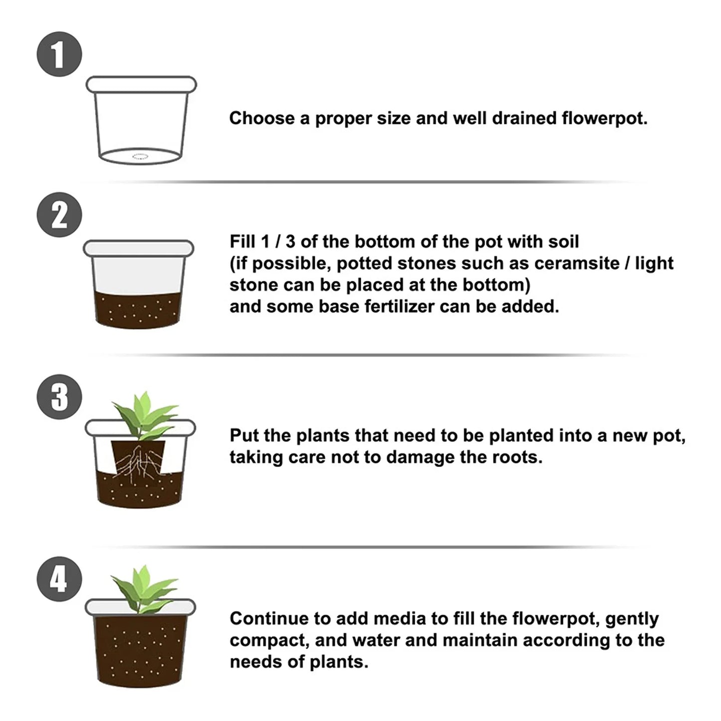 Carvallo BioStart Rotpulver för växter 50 g | Rotning & tillväxthjälp | För sticklingar, frukträd, grönsaker & prydnadsväxter