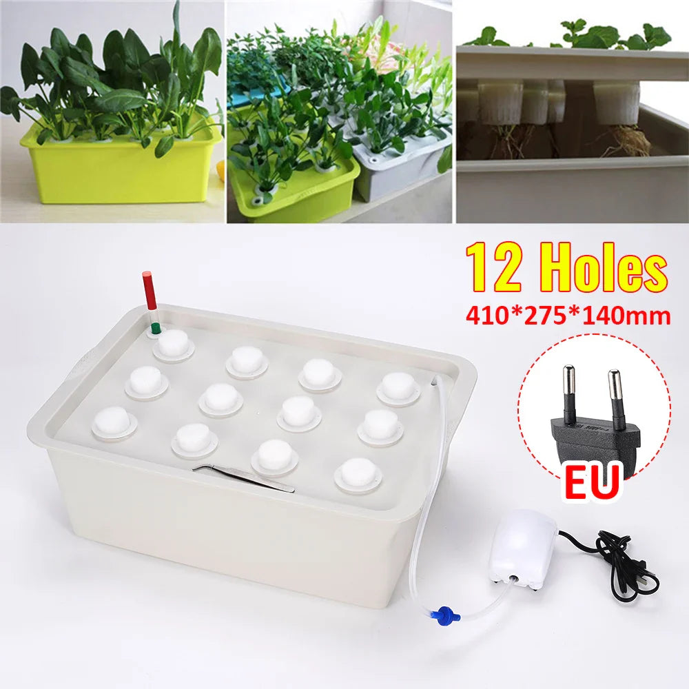 Carvallo Planter Set GrowPure 12 | 12-Chamber System with Pump | 220 V | For Herbs, Vegetables & Seedlings | 41×27,5×14 cm