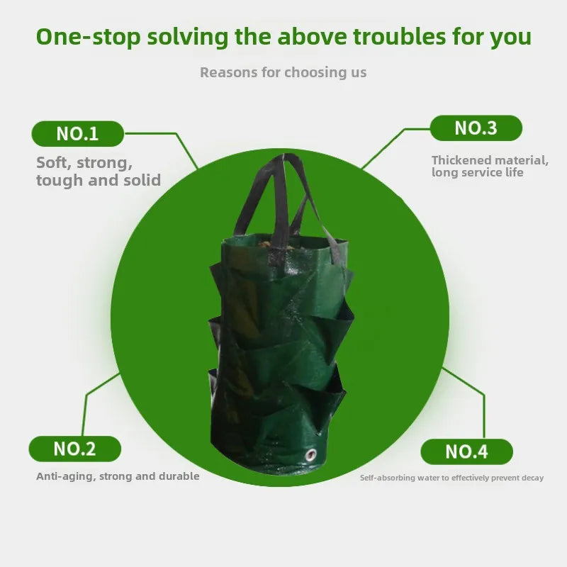 Carvallo Plantpåse Grönsaker & Jordgubbar | 3 Gallon PE Såpåse med fack | Återanvändbar & Vattentät