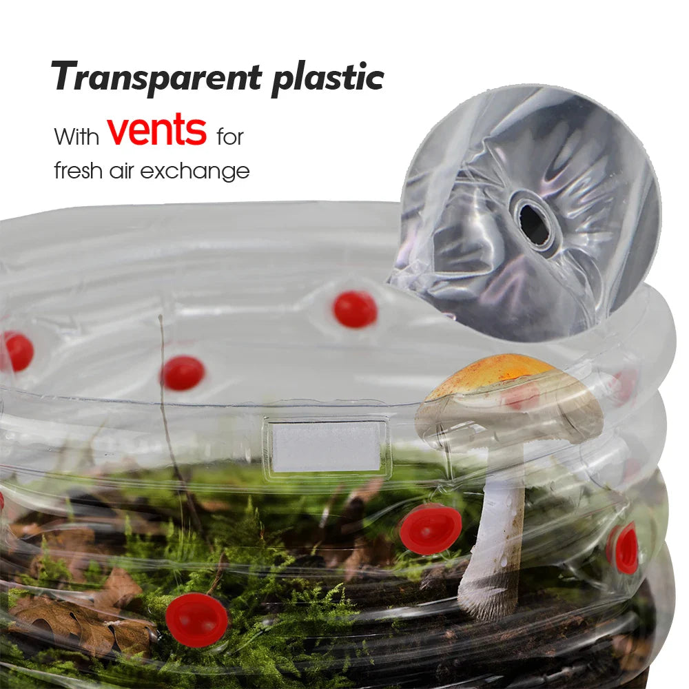 Carvallo svampodlingsset | Uppblåsbar Growbag med luftfilter | Monotub för hemmet & trädgård