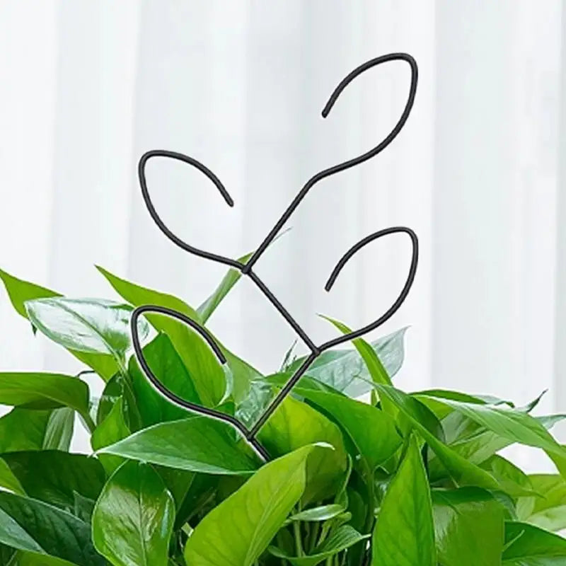 Carvallo Metall-växtstöd för inomhusbruk | Rostfritt & Stabilt | För klätterväxter, blommor & murgröna | Dekorativt bladdesign