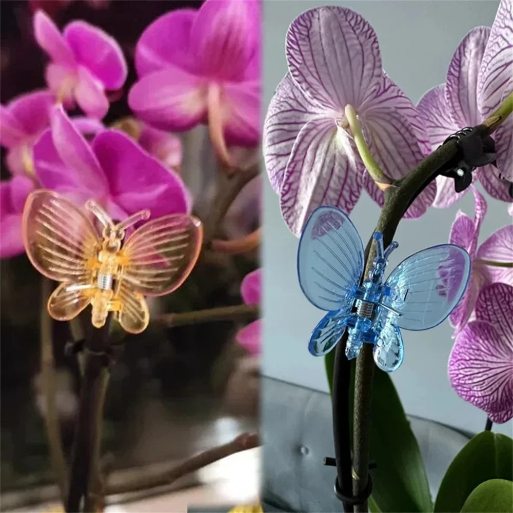 Carvallo 30 stycken orkidé- och växtklipp | Färgade fjärilsclips | För klätterhjälpmedel och växtstöd | Plast