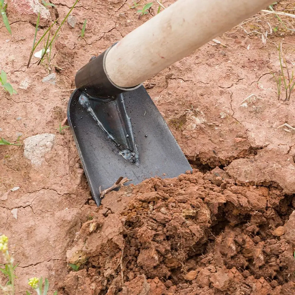 Carvallo Trädgårdshacka | Manganstål | Ogräsborttagare & Planteringshjälp | Robust & Multifunktionell