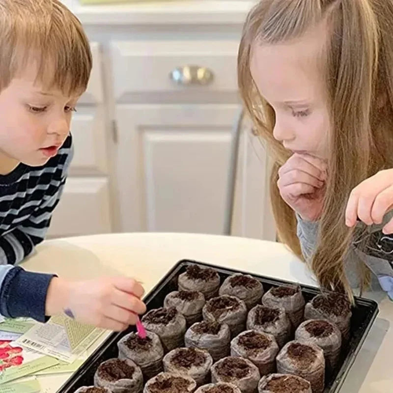 Carvallo 100 stycken kokosbriketter för växtuppdragning | Näringsrik kokosjord | Idealisk för plantor, växthus & hydroponik