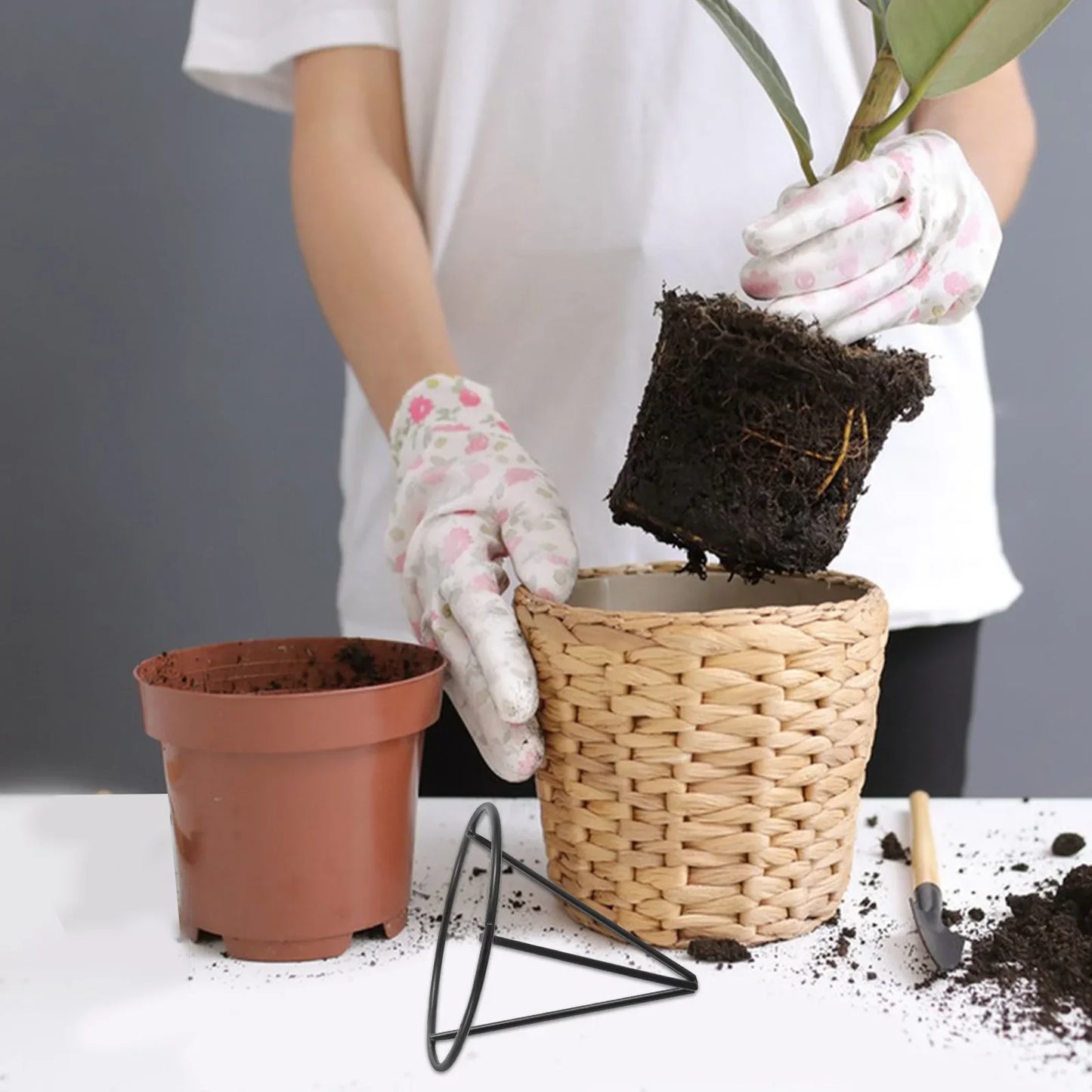 Carvallo 2-pack växtstativ i metall | Triangel-design med transparent hydrokulturskål | 8,5 × 8,5 × 7,5 cm | För hem & kontor