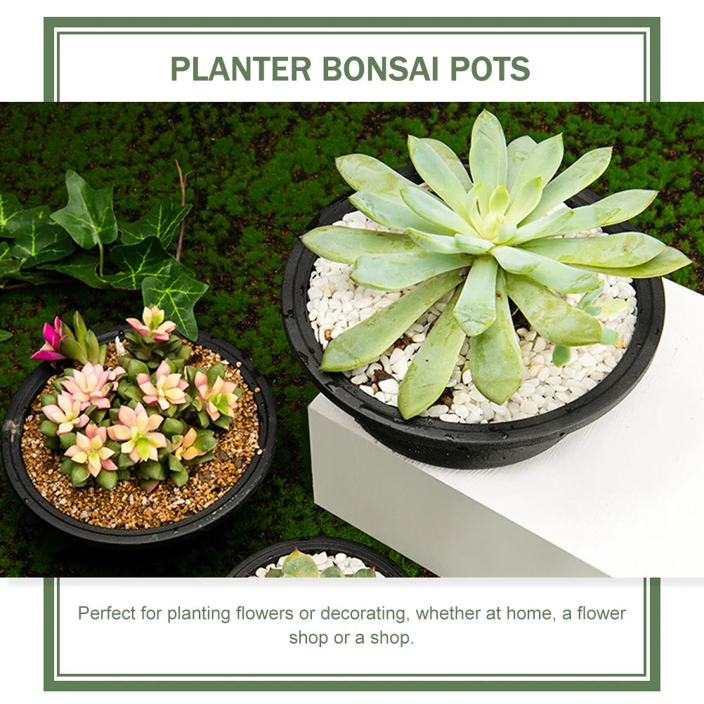 Carvallo Noir Blumentöpper i Koreansk stil | 6-pack | Robust & Dekorativ | Svart