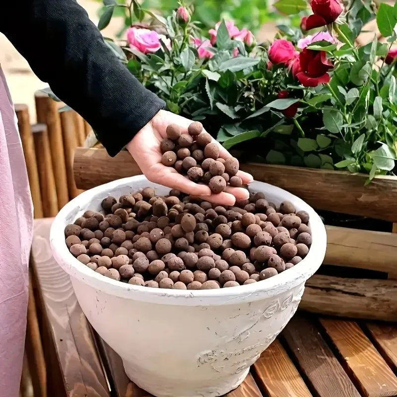 Carvallo Blähton Kulor | Organisk & Återanvändbar | För dränering & Hydroponik