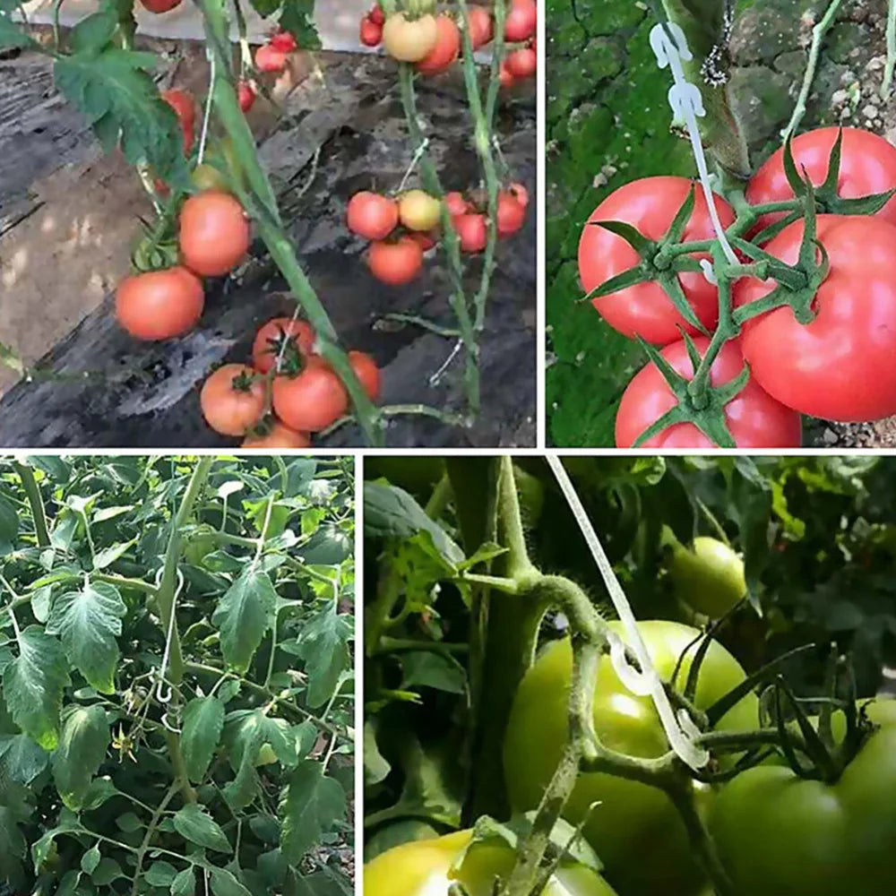 Carvallo J | Återanvändbara J-krokar för tomater och klätterväxter | 9,5 cm / 13 cm / 16 cm | 1–100 stycken | Växtstöd för klättringshjälp